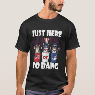 Just Here To Bang USA Flag Funny Cat 4th Of July C T-Shirt