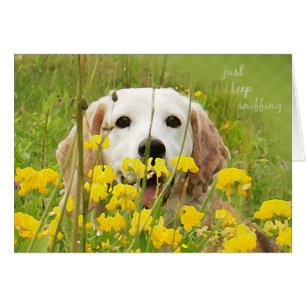 just keep sniffing beagle peeking in wildflowers