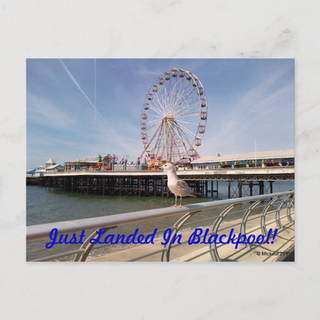 Just Landed Postcard (Front)