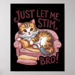 Just Let Me Stim Bro Cute Cat Funny Autism Awarene Poster