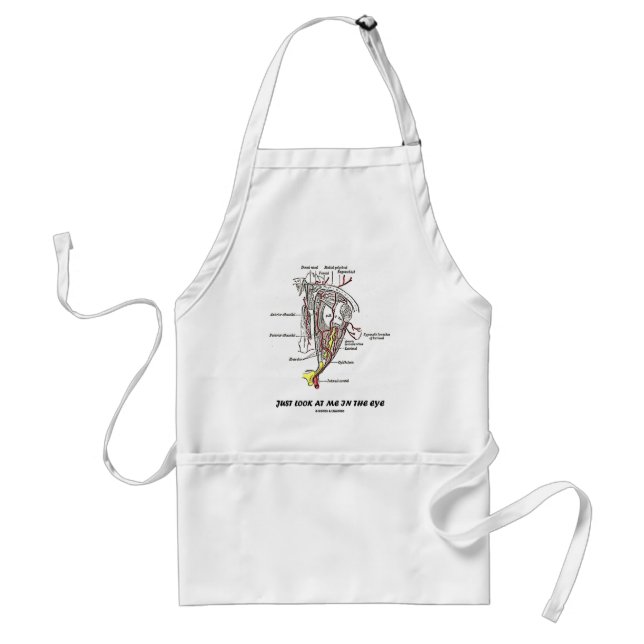 Just Look At Me In The Eye (Anatomical Humour) Standard Apron (Front)