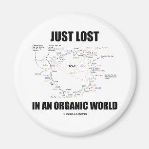 Just Lost In An Organic World (Krebs Cycle Humour) Magnet