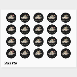 Just Married Animal Couple Wedding Car Classic Round Sticker