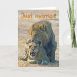 Just married announcement<br><div class="desc">Lions in love in african savannah</div>