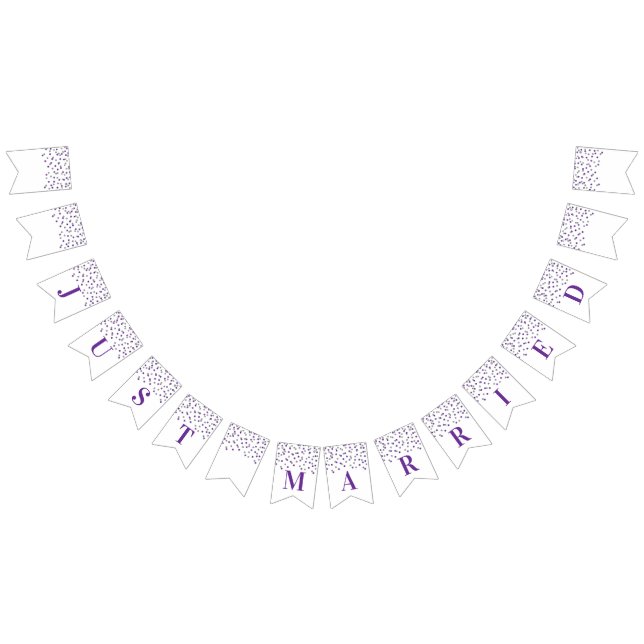 Just Married Banner Purple Silver Confetti (All)