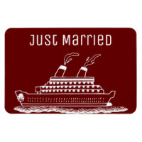 Just Married Honeymoon Wedding Cruise Cabin Door