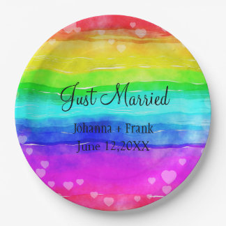 Just Married Rainbow Colours Paper Plate