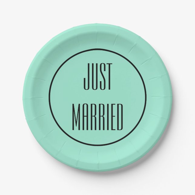 Just Married Wedding Reception Party Paper Plates (Front)