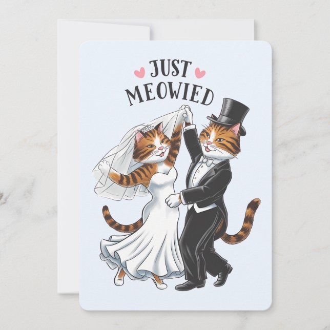 Just Meowied Married Couples Cat Funny Wedding Holiday Card (Front)