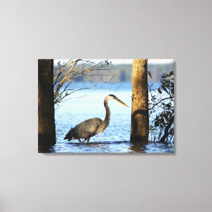 Just Missed - Kerr Lake Canvas Print