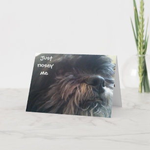 JUST NOSEY ME - 40th BIRTHDAY CARD