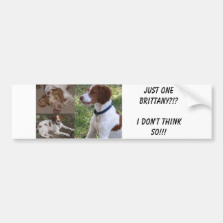 Just ONE Brittany?!?I don't think so!!! Bumper Sticker