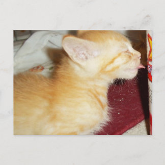 JUST ONE LICK POSTCARD