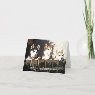 Just peeked over to say.. card