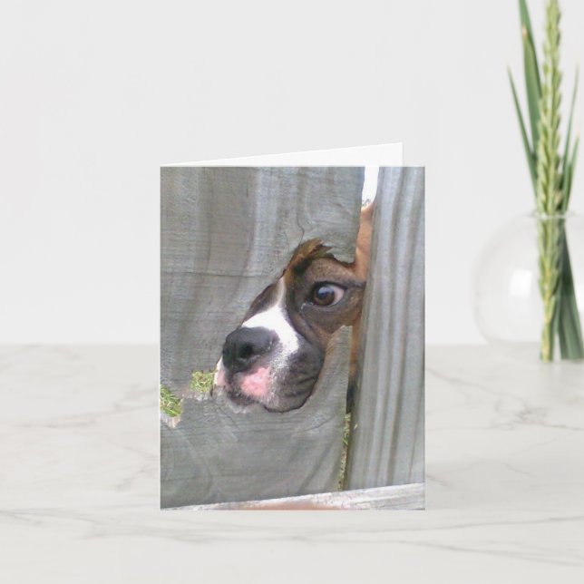 Just Peeking In Card (Front)