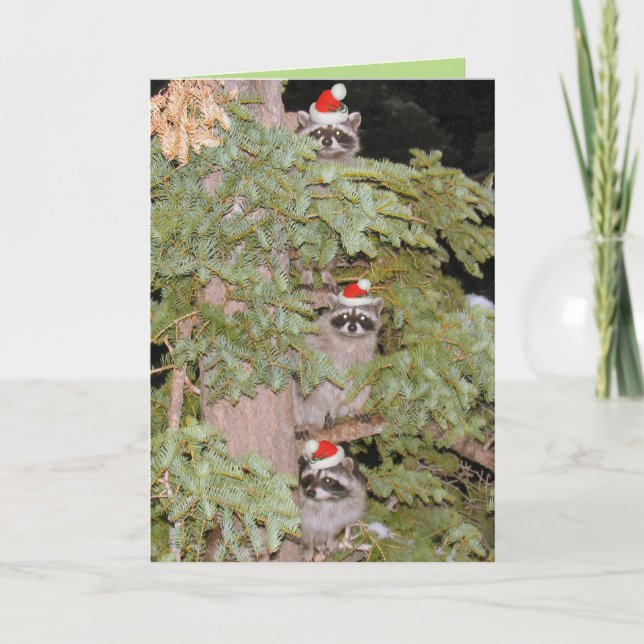 Just peeking in ... holiday card (Front)