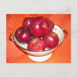 Just Picked Apples Postcard