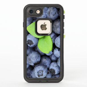 Just Picked Fresh Delicious Blueberries