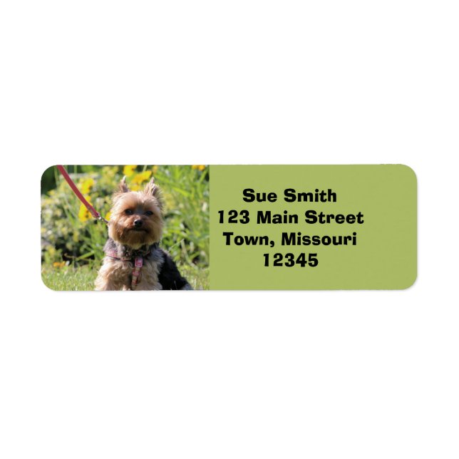 Just plain darling (Front)