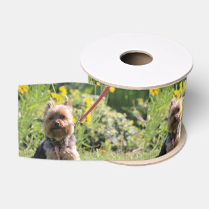 Just plain darling grosgrain ribbon