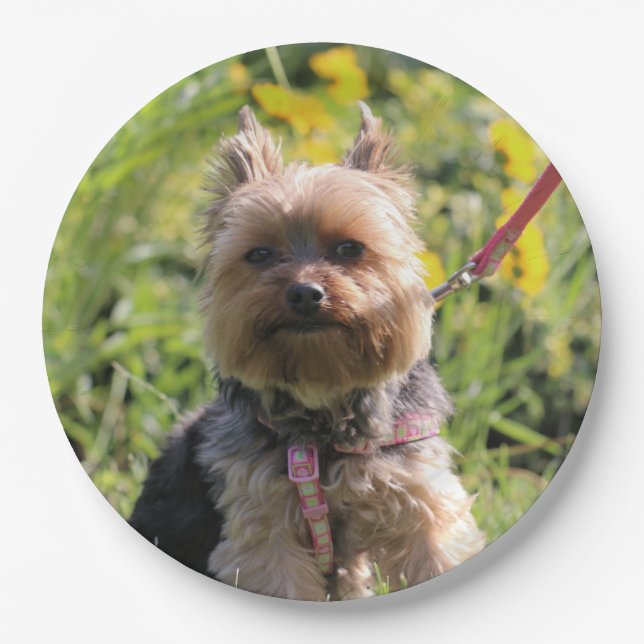 Just plain darling  paper plate (Front)