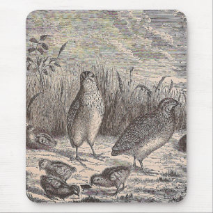 Just Quail Mouse Pad