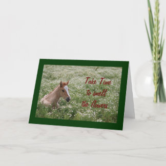 Just Resting Card