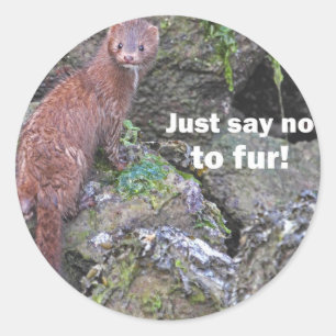 "Just Say No to Fur" Mink Classic Round Sticker