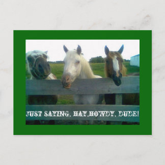 Just saying, hay,howdy, dude! postcard
