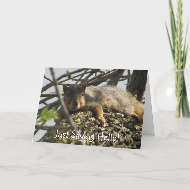 Just Saying Hello Cute Squirrel in Tree Card (Front)