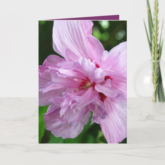 Just Saying Hello Flower Greeting Card (Front)