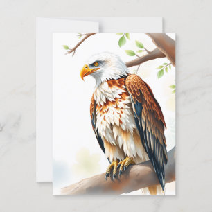 Just Saying Hi    Eagle Sitting on a Branch Postcard
