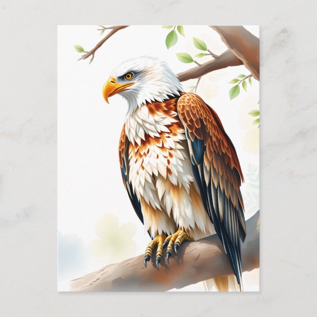 Just Saying Hi  | Eagle Sitting on a Branch Postcard (Front)