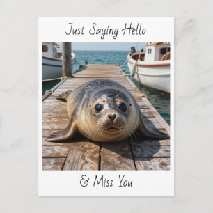 Just Saying Hi   Keeping in Touch Cute Seal Postcard