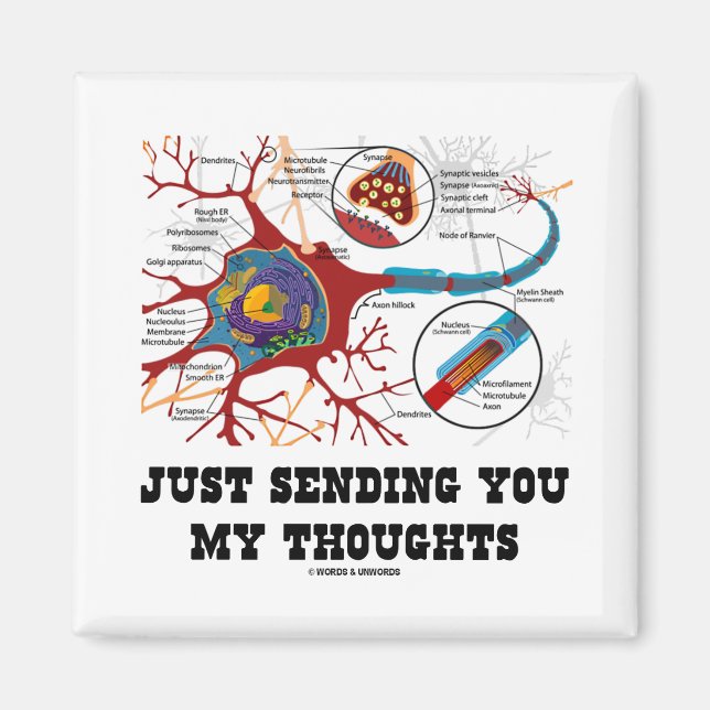 Just Sending You My Thoughts (Neuron / Synapse) Magnet (Front)