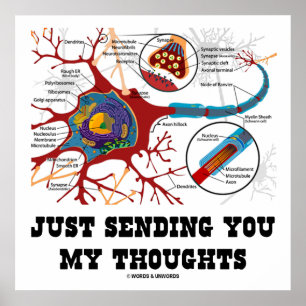 Just Sending You My Thoughts Neuron Synapse Poster