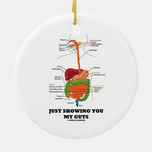 Just Showing You My Guts (Digestive System Humour) Ceramic Ornament (Back)
