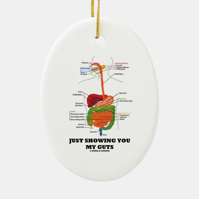 Just Showing You My Guts (Digestive System Humour) Ceramic Ornament (Back)