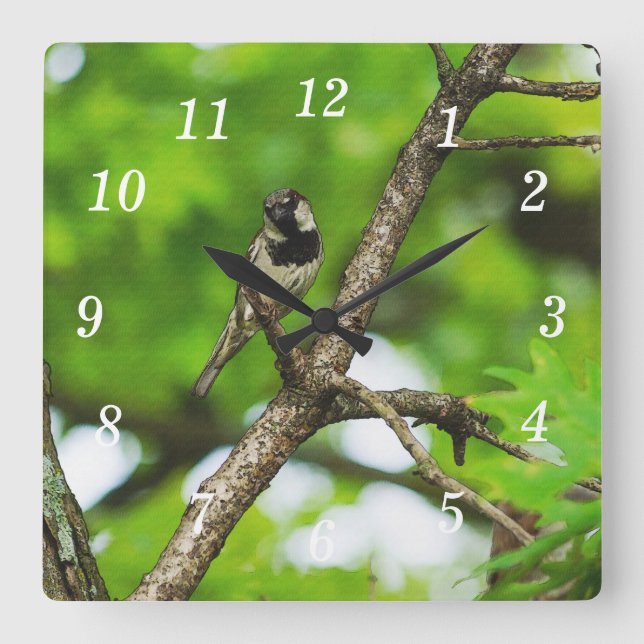 Just Sitting Around Wall Clock (Front)