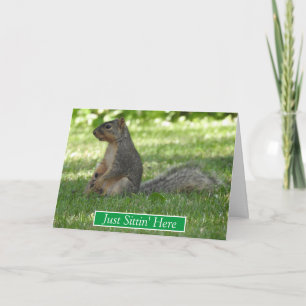 Just Sitting Here Thinking About You, Squirrel Card