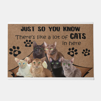 Just So You Know There's Like A Lot Of Cats In Her Doormat