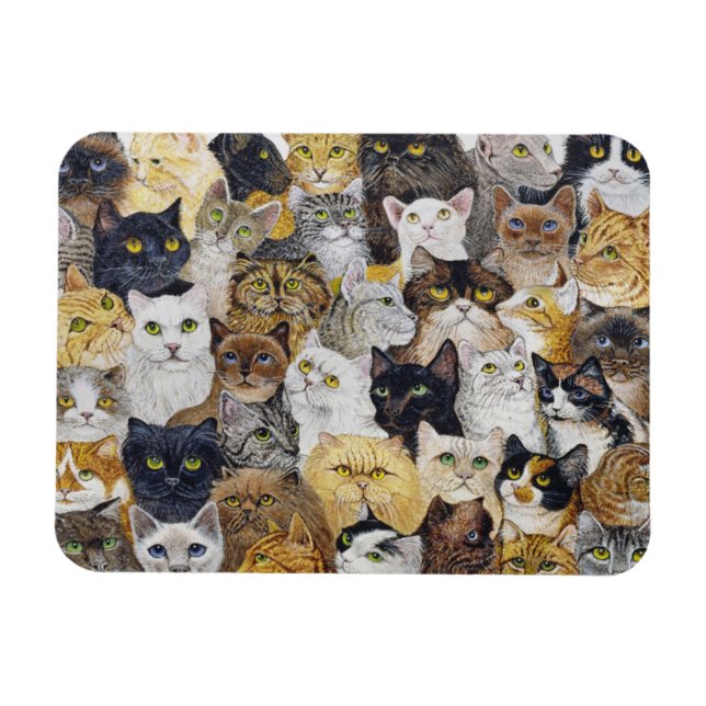 Just the Cat's Whisker Magnet (Horizontal)