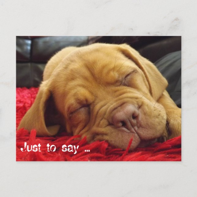 Just to say .... postcard (Front)