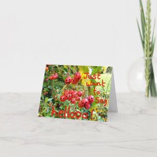 Just want to say Hellooo! Card