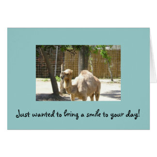 Just wanted to bring a smile to your day