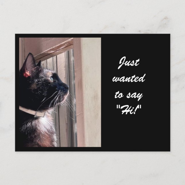 JUST WANTED TO SAY "HI!' Kitty postcard (Front)