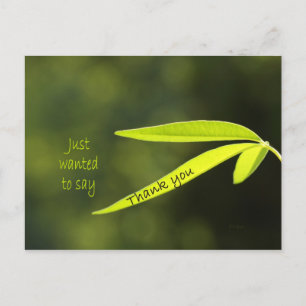 Just wanted to say postcard