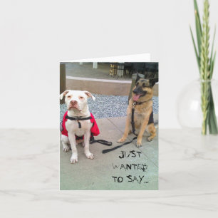 JUST WANTED TO SAY... THANK YOU CARD