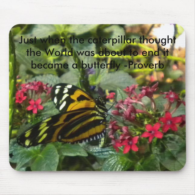 Just when the Caterpillar thought... Mouse Pad (Front)