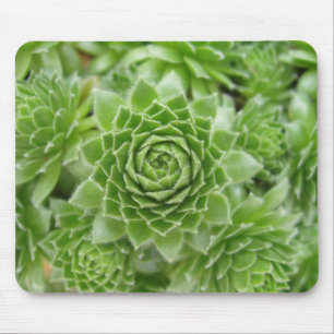 Just WOW! Mouse Pad